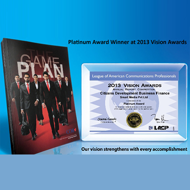 Platinum Award Winner At 2013 Vision Awards